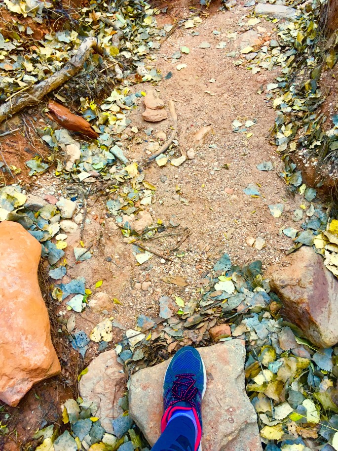 Caprock Canyon State Park North Prong Trail
